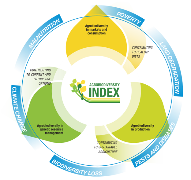 Agrobiodiversity at the heart of our food systems, and now integrated ...