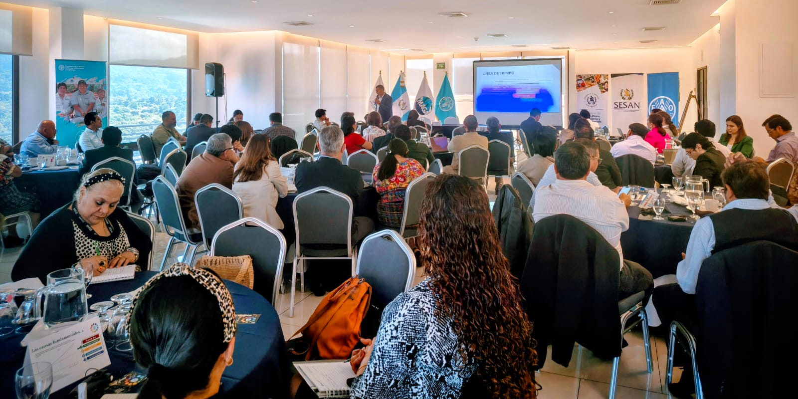 Stakeholders attending the second FAO Global Roadmap workshop in Guatemala City (25-26 November).
