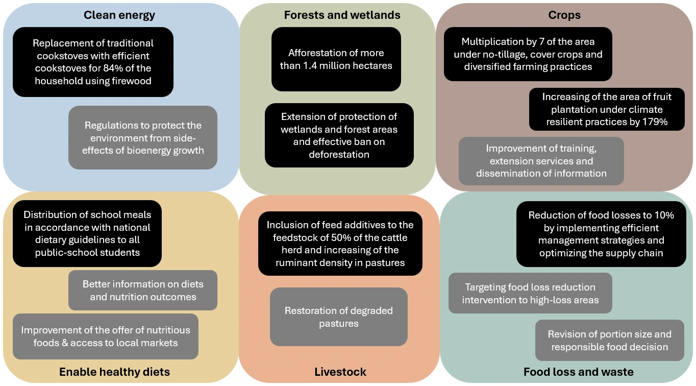 Figure 1: Actions prioritized by stakeholders in Guatemala, showing 8 that were included (black) and 7 that were not included (grey) in the final modelled pathway.