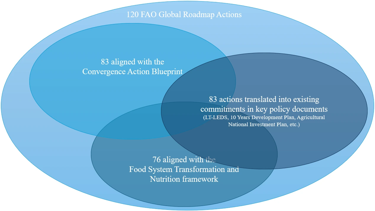 Figure 1: FAO Global Roadmap actions alignment with national frameworks and policy documents.