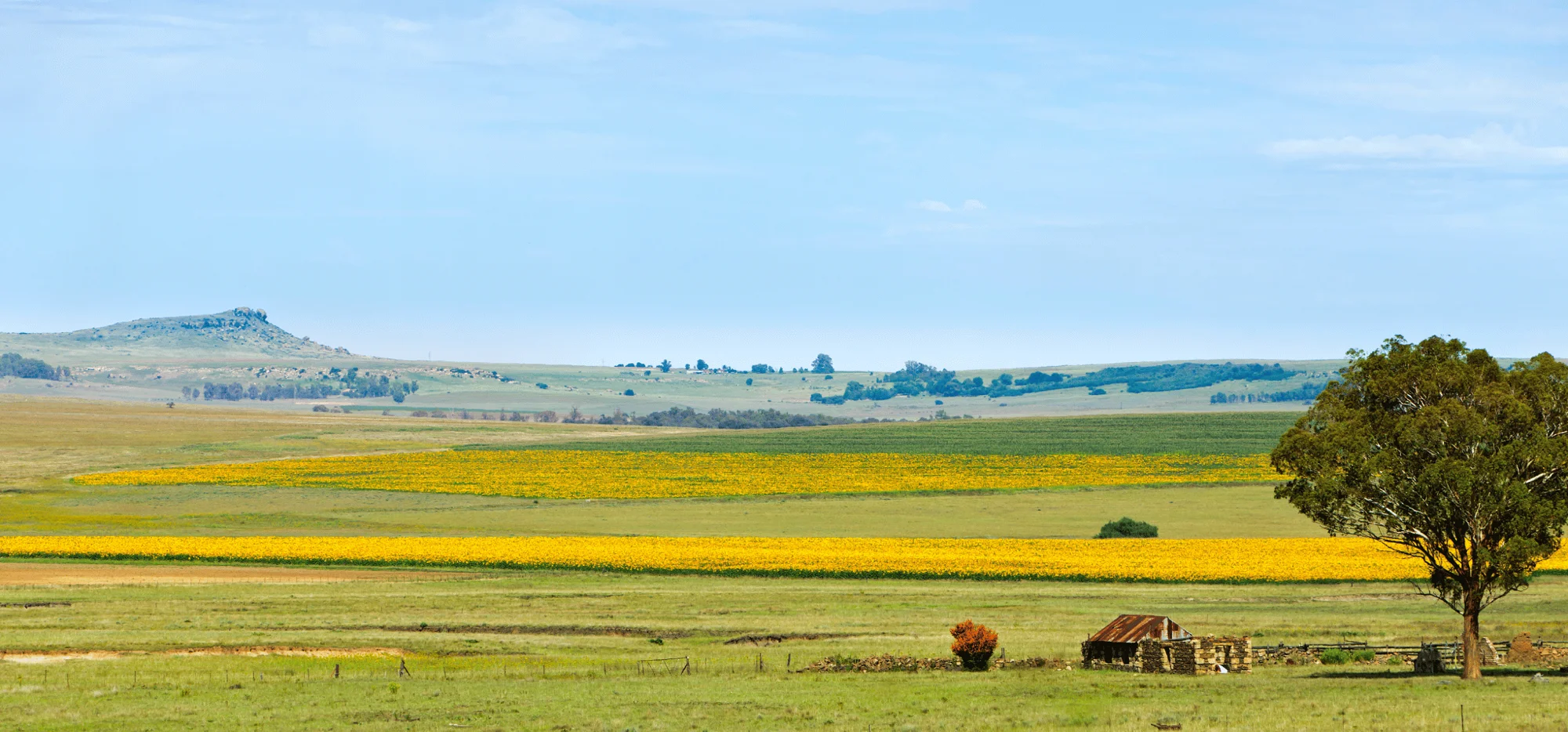 A farm in Free State, South Africa