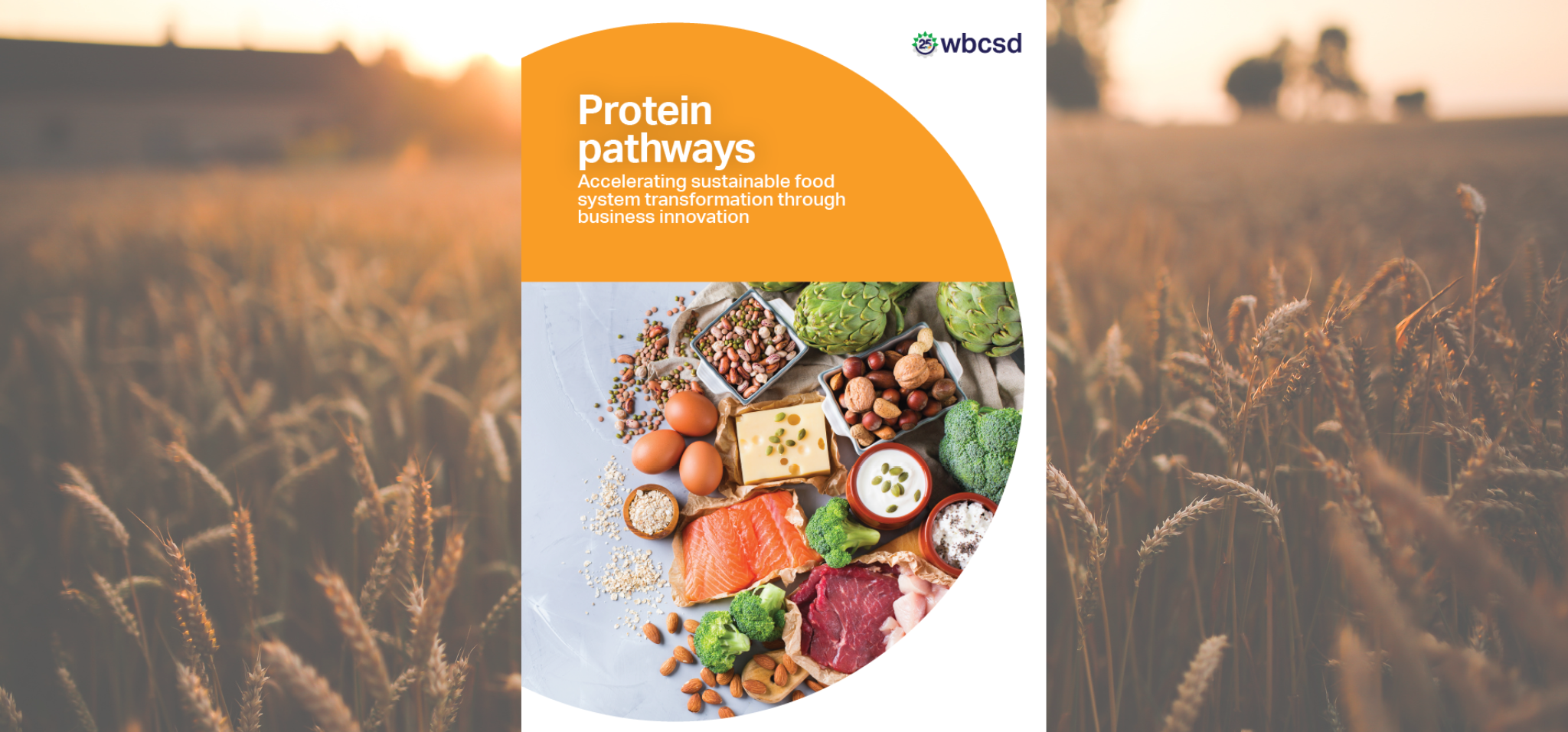 WBCSD protein pathways